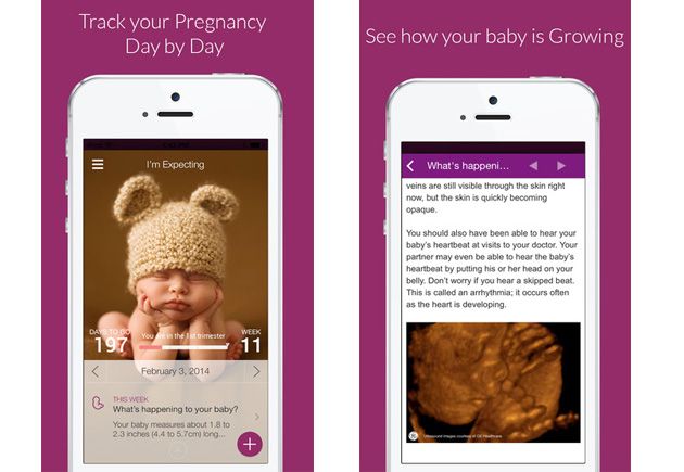 I’m Expecting - Pregnancy App