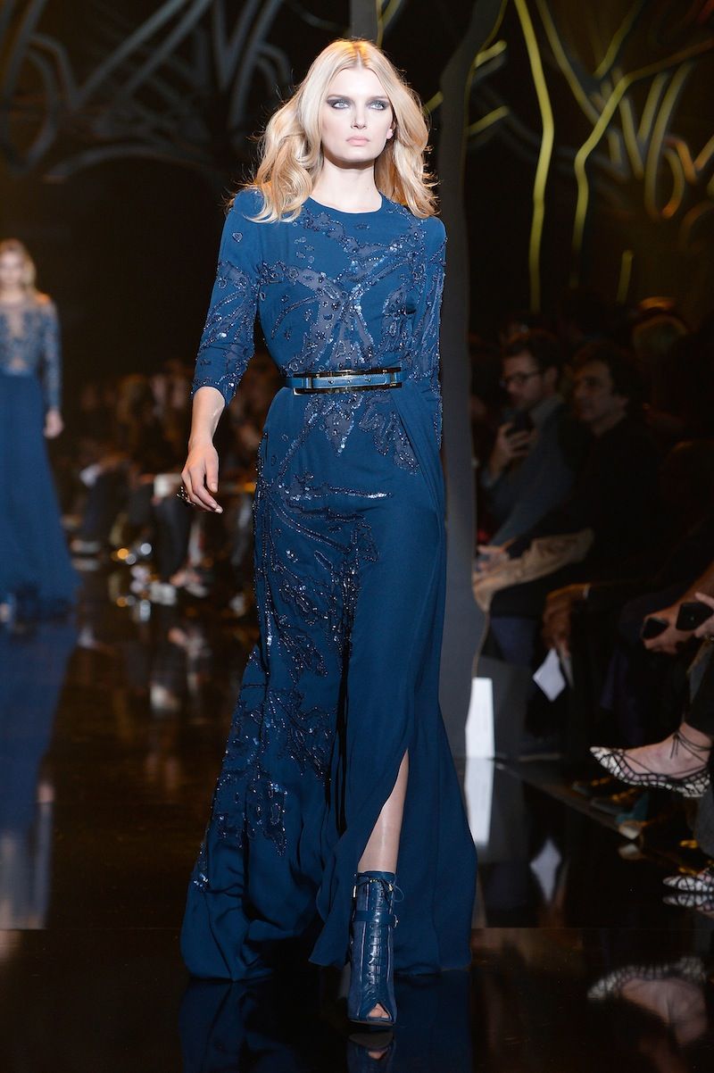 Elie Saab : Runway - Paris Fashion Week Womenswear Fall/Winter 2015/2016