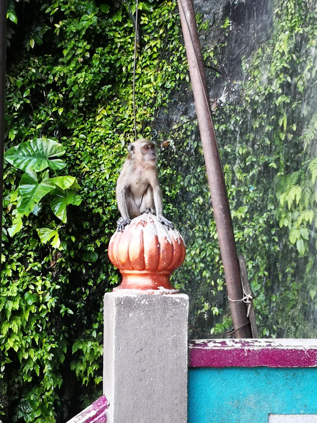 Batu Caves