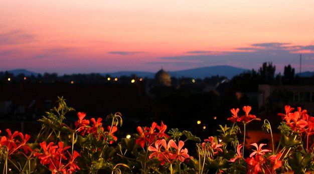 balcon-view-1461479