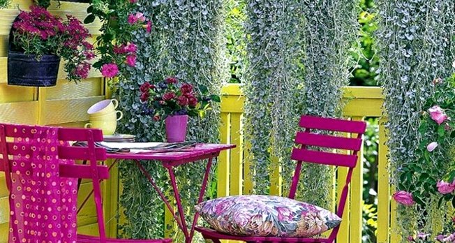 balcony-planting-flowers-colorful-oasis-in-the-cold-season-4-813