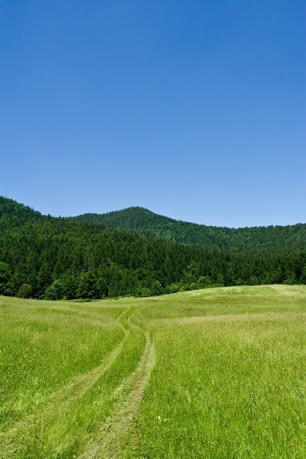 gorje-risnjak