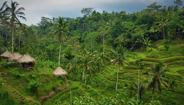 toplikrajevi-bali-poljarize