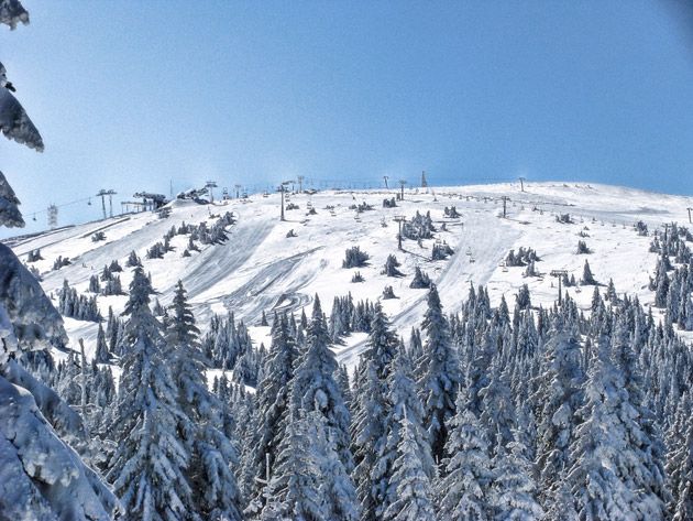 skijanje-kopaonik