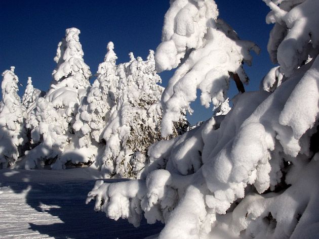 skijanje-kopaonik3