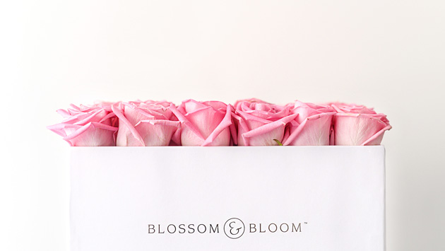 Blossom&Bloom