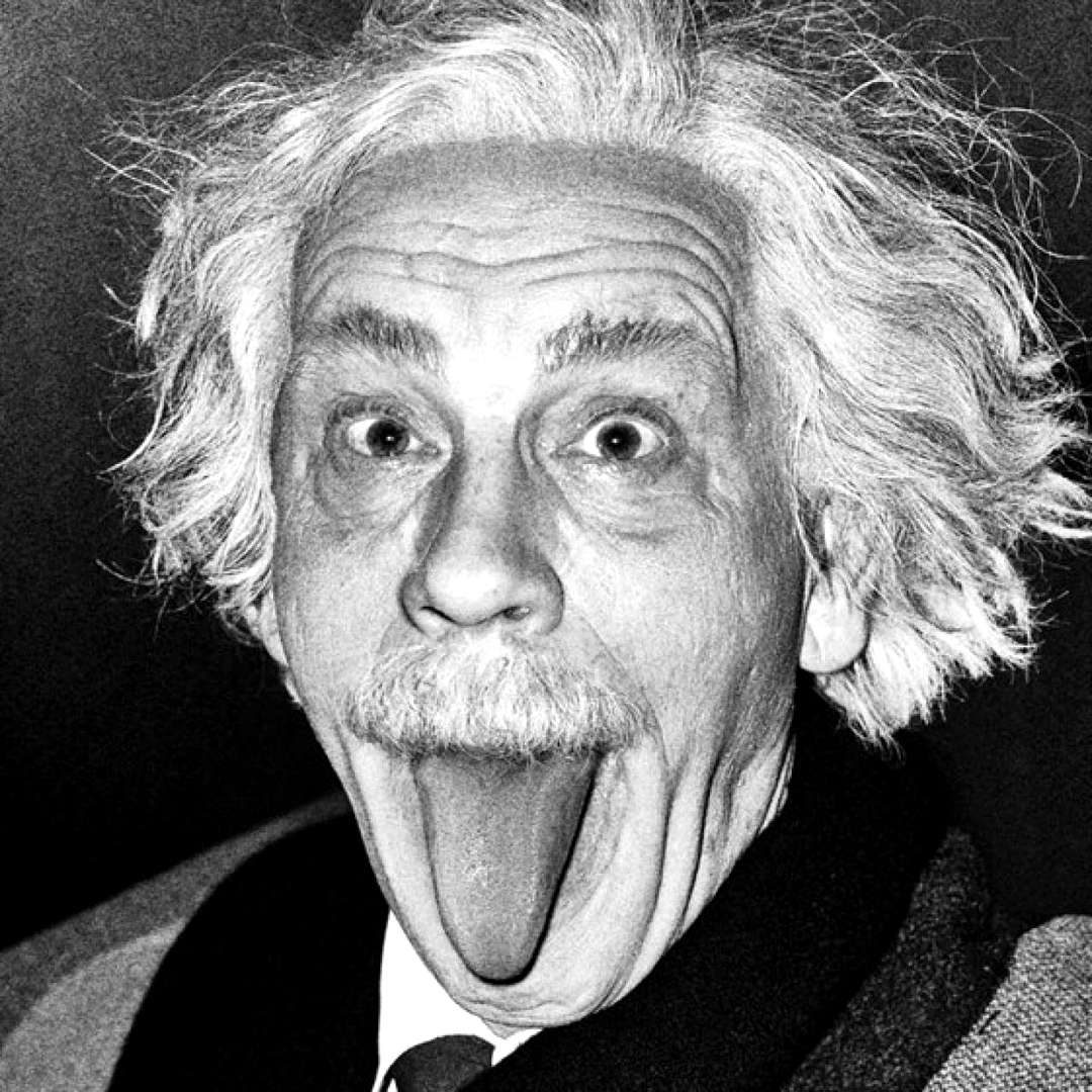 John Malkovich Albert Einstein
