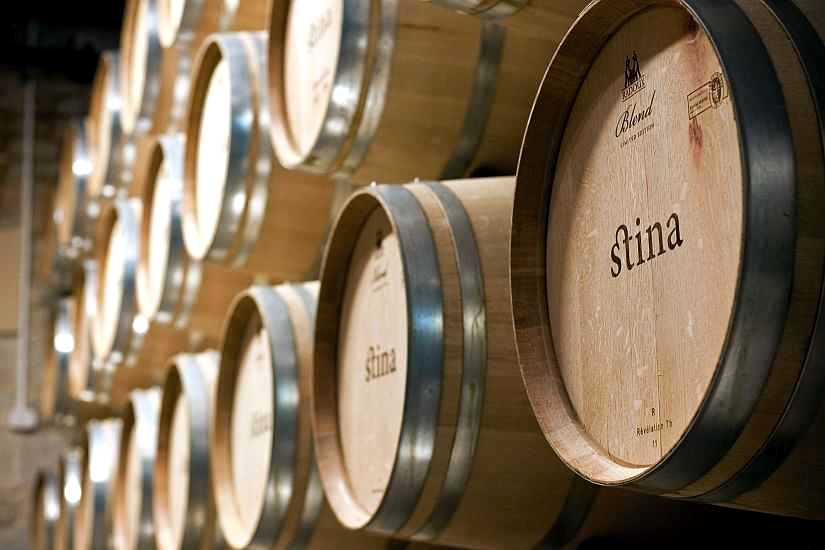 Vina Brač
