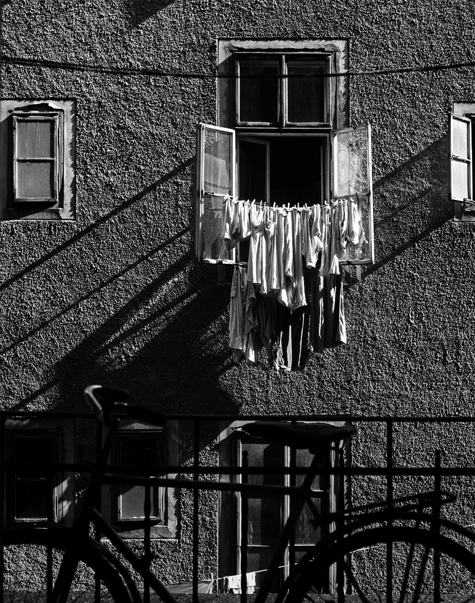 Dvorišni prozor, 1951. 