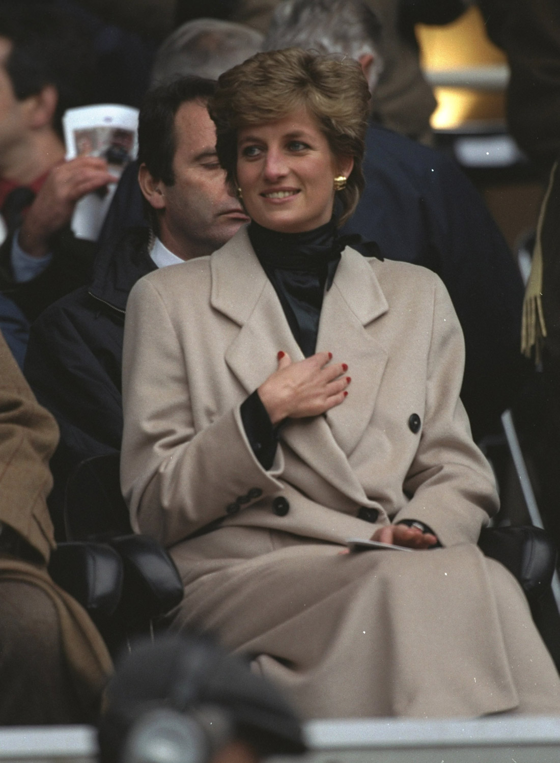 Princeza Diana, 1995. godine