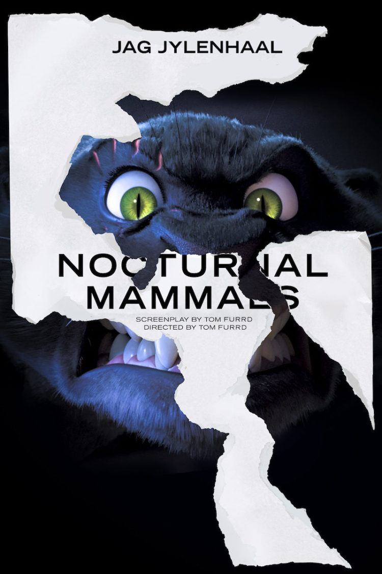 Nocturnal-Mammals-1-750x1125