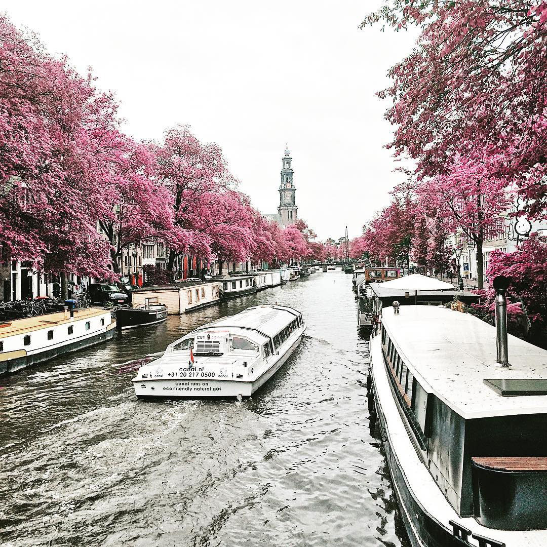 Amsterdam, @aggiewo