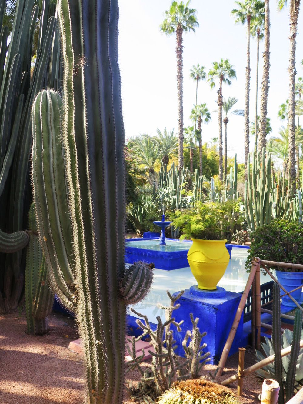 Majorelle