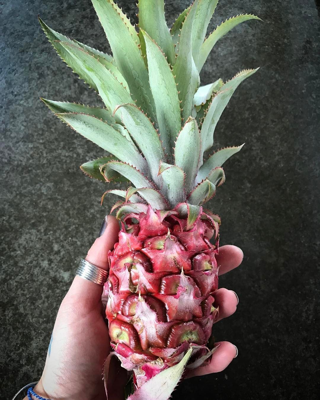 ružičasti ananas