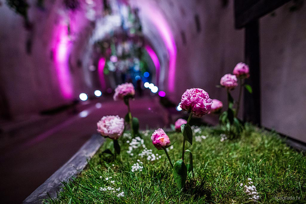 tunel-gric-floraart-1