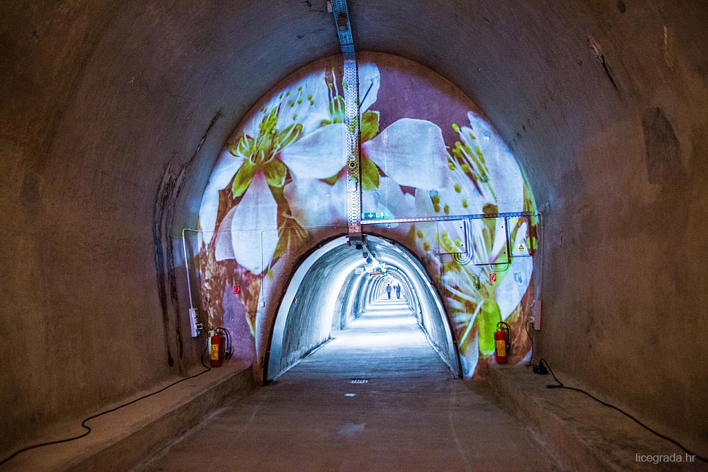 tunel-gric-floraart-7