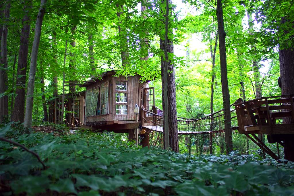 airbnb kućica na drvetu 9