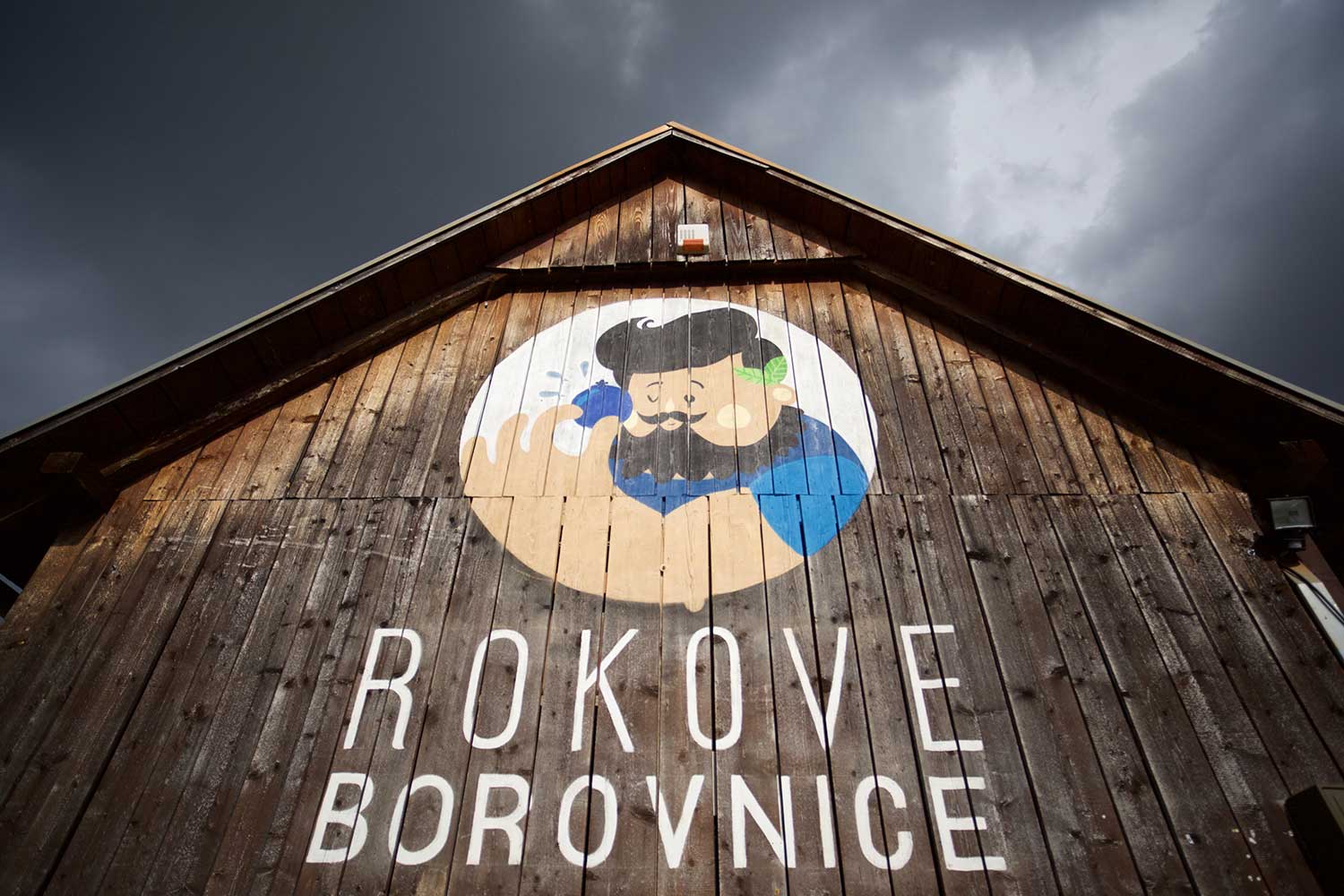 rokove borovnice