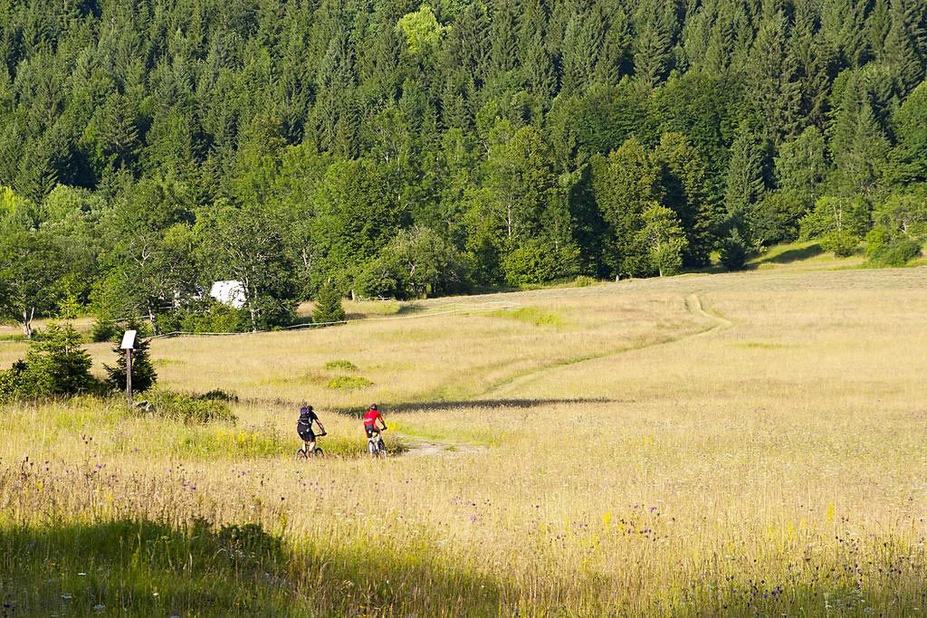 Bela Krajina Slovenija