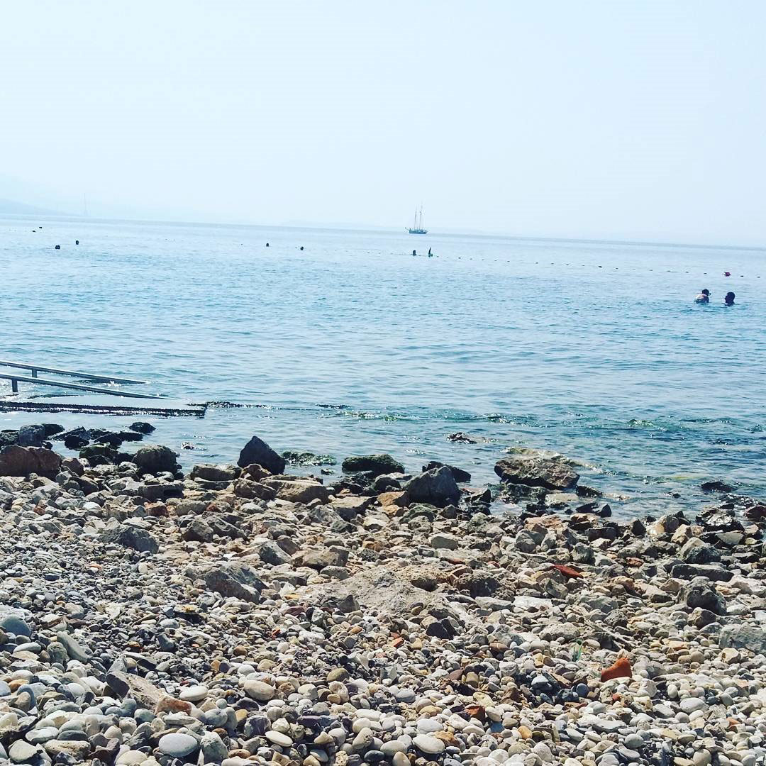 Pseće plaže na Jadranu