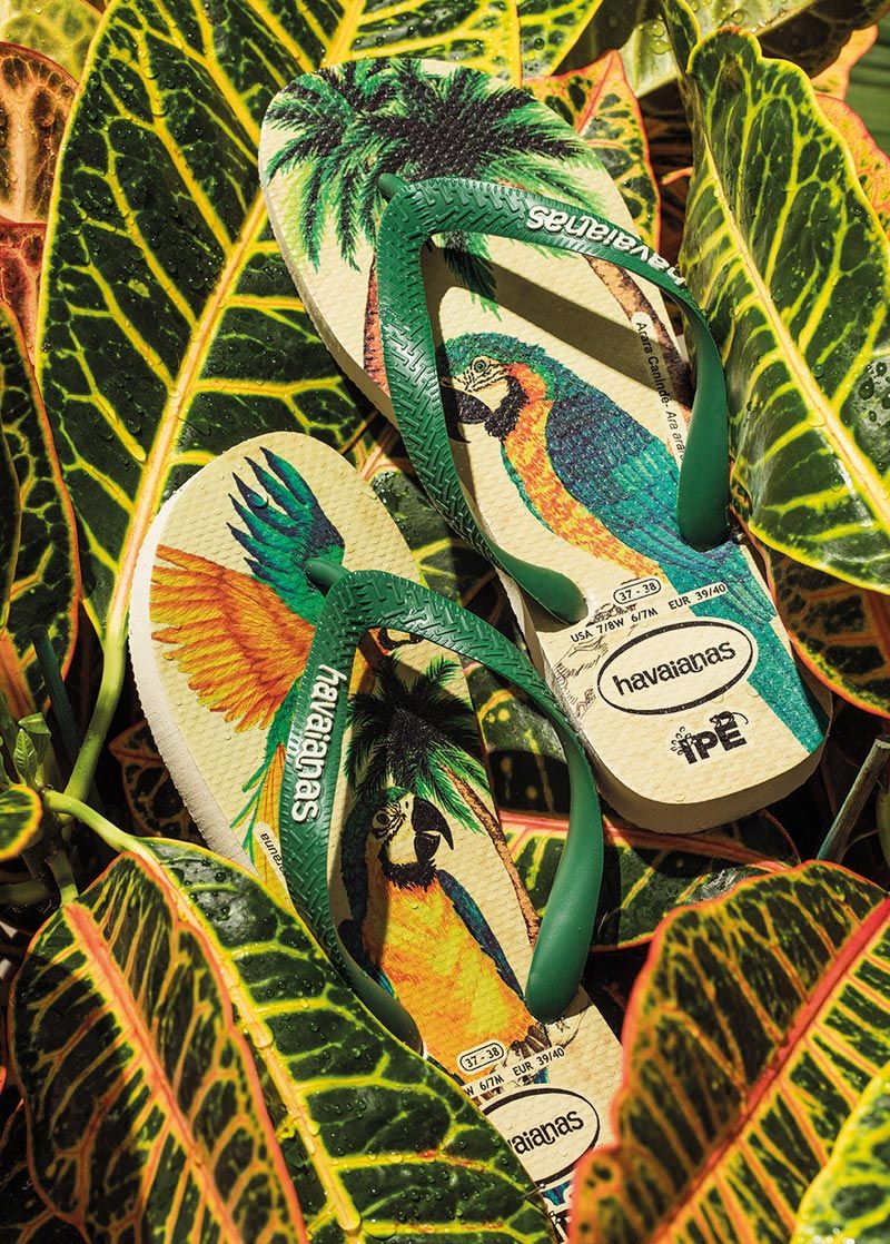 HAVAIANAS_IPE-1