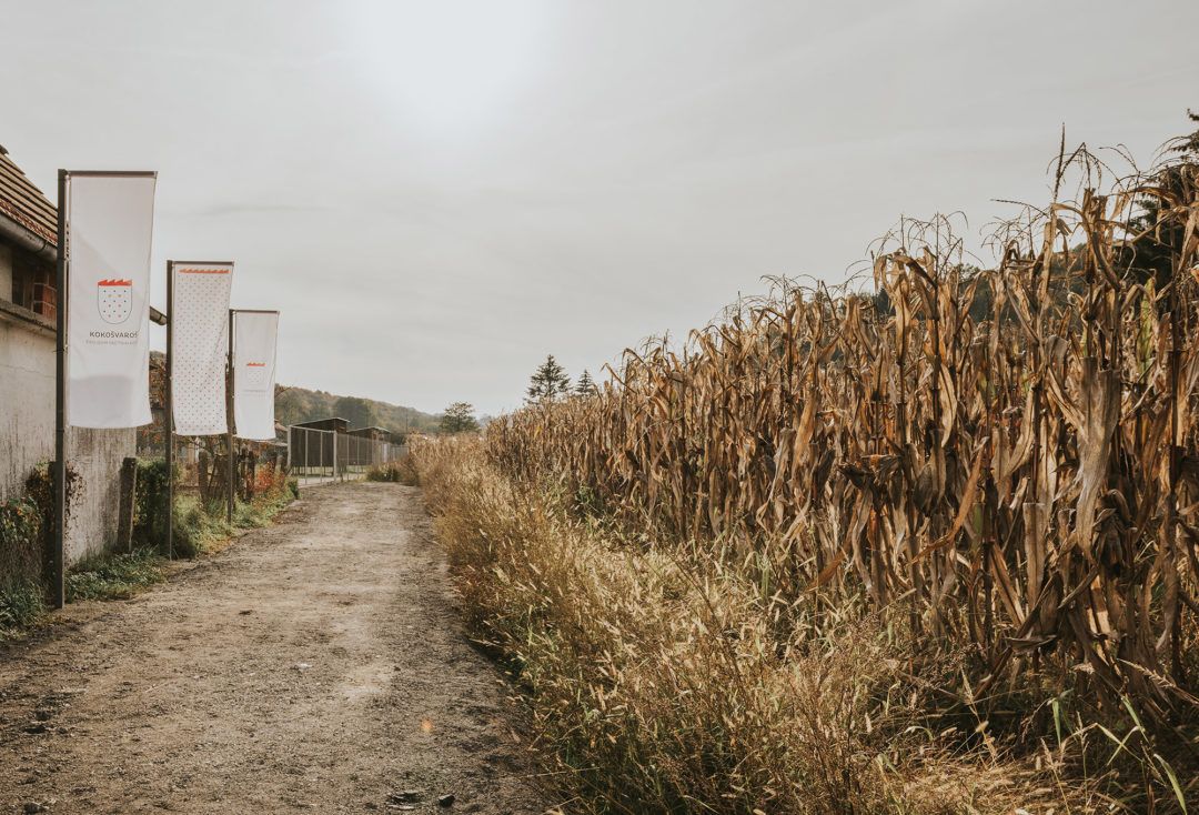 SKROZ - Kokošvaroš_foto Marko Mihaljevic_01