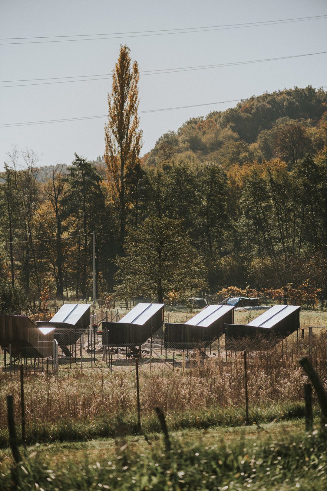 SKROZ - Kokošvaroš_foto Marko Mihaljevic_03