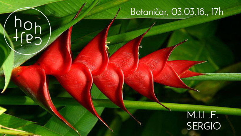 botanicar-hohcajt-03-1