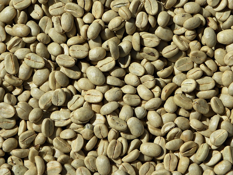 Sjemenke zelene kave 1