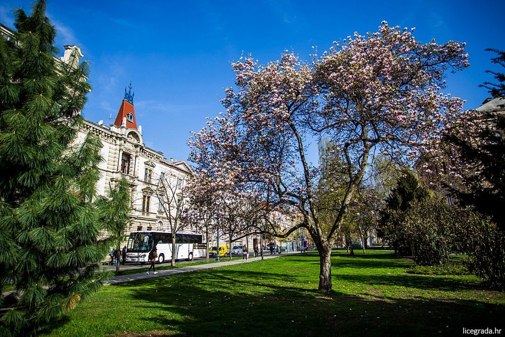 zagrebačko proljeće u parkovima 00007