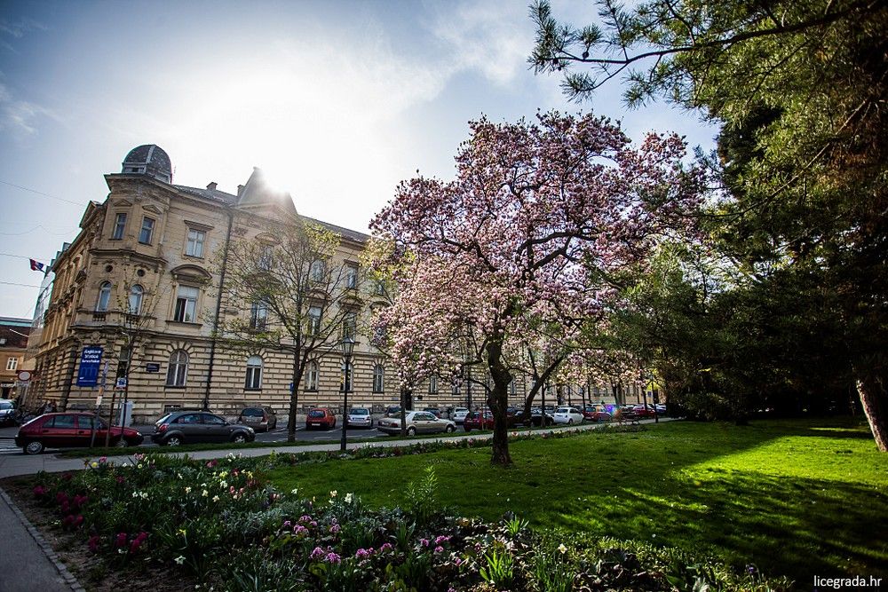 zagrebačko proljeće u parkovima 00008