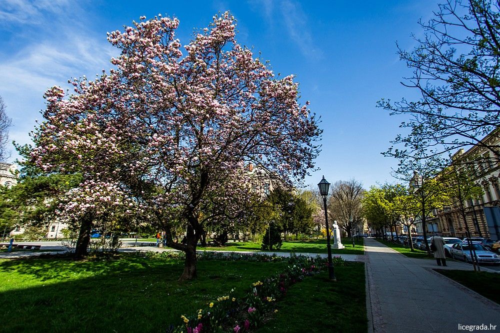 zagrebačko proljeće u parkovima 00014