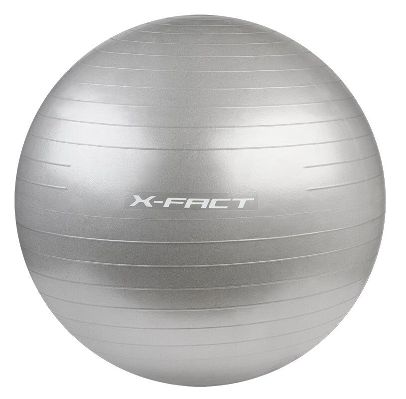 X Fact Gym Ball 85