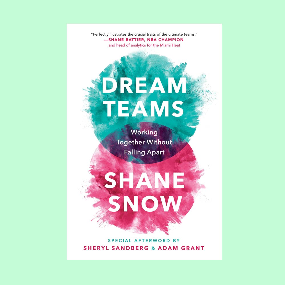 Shane Snow: Dream Teams (Ekipe snova)