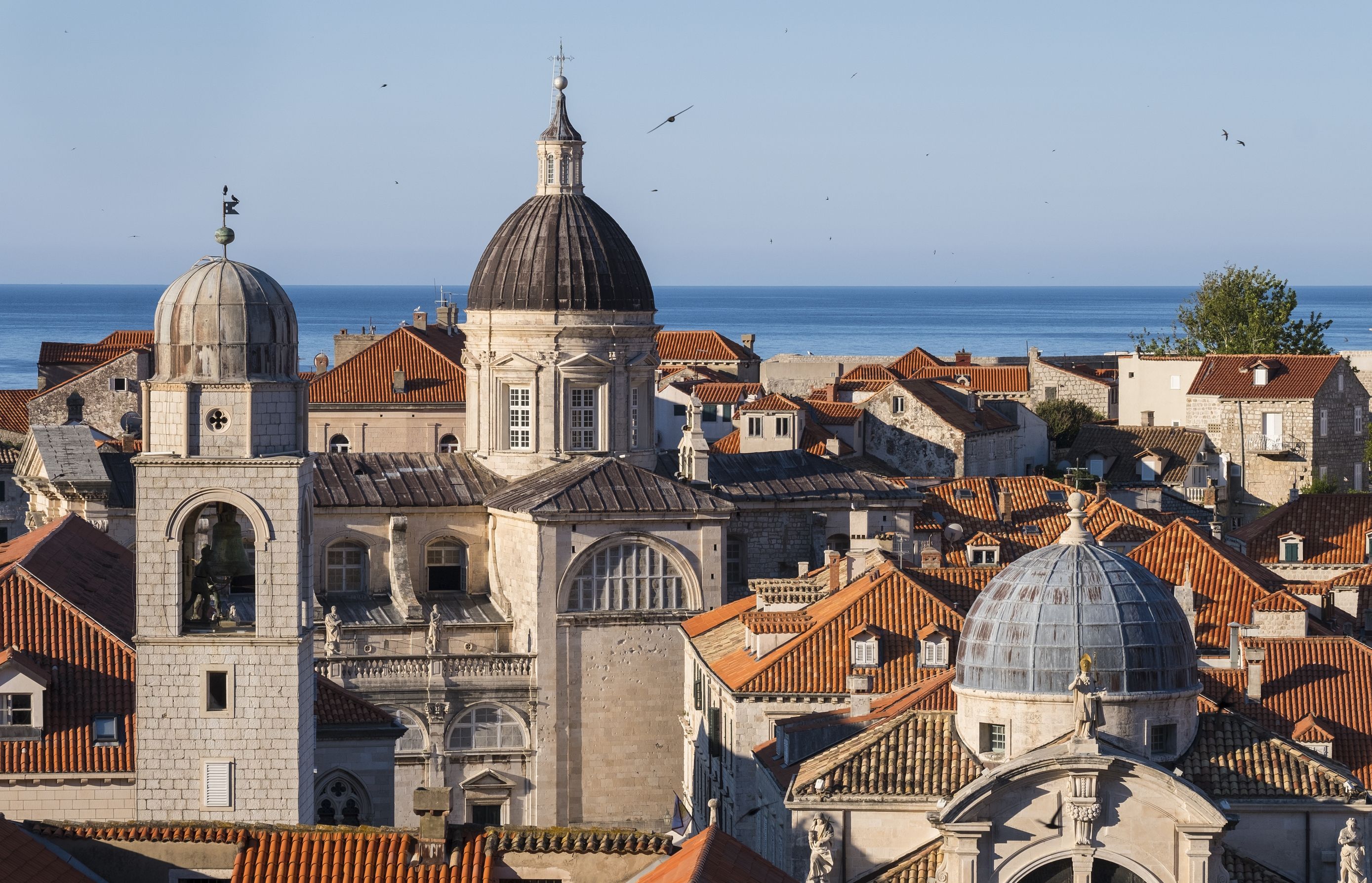 Zoran Marinović_Dubrovnik