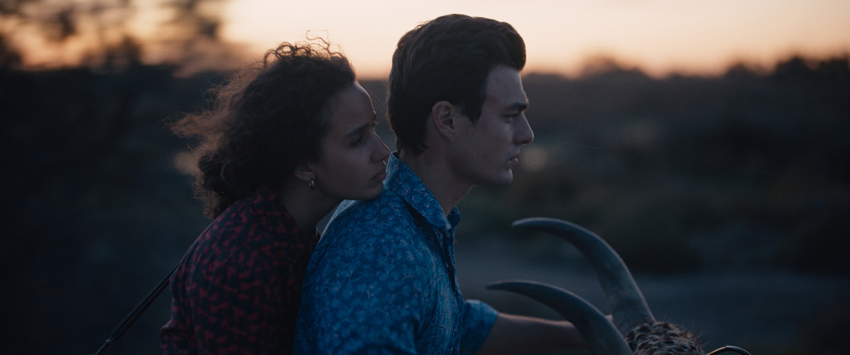 Vestern horor drama mediteranskog štiha? Da, upravo je to film Zvijer. Stiže u kina