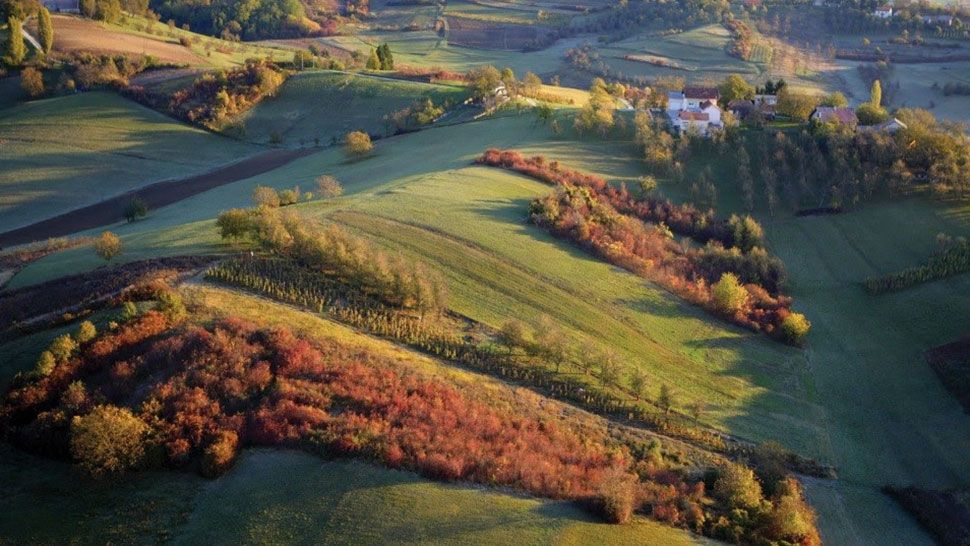 Tri vinarije nadomak Zagreba