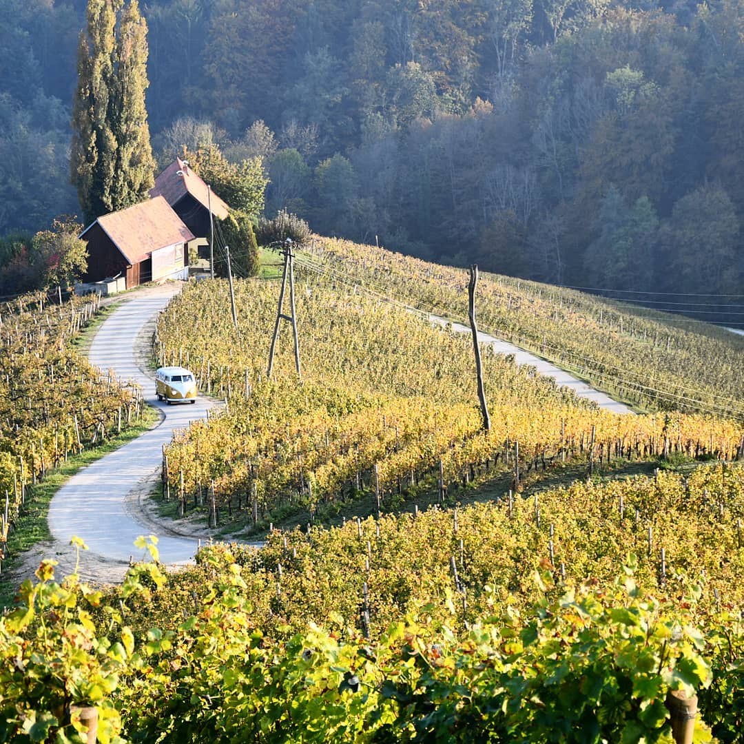 Osvaja na prvi pogled: U Sloveniji se nalazi najromantičnija cesta kroz vinograde