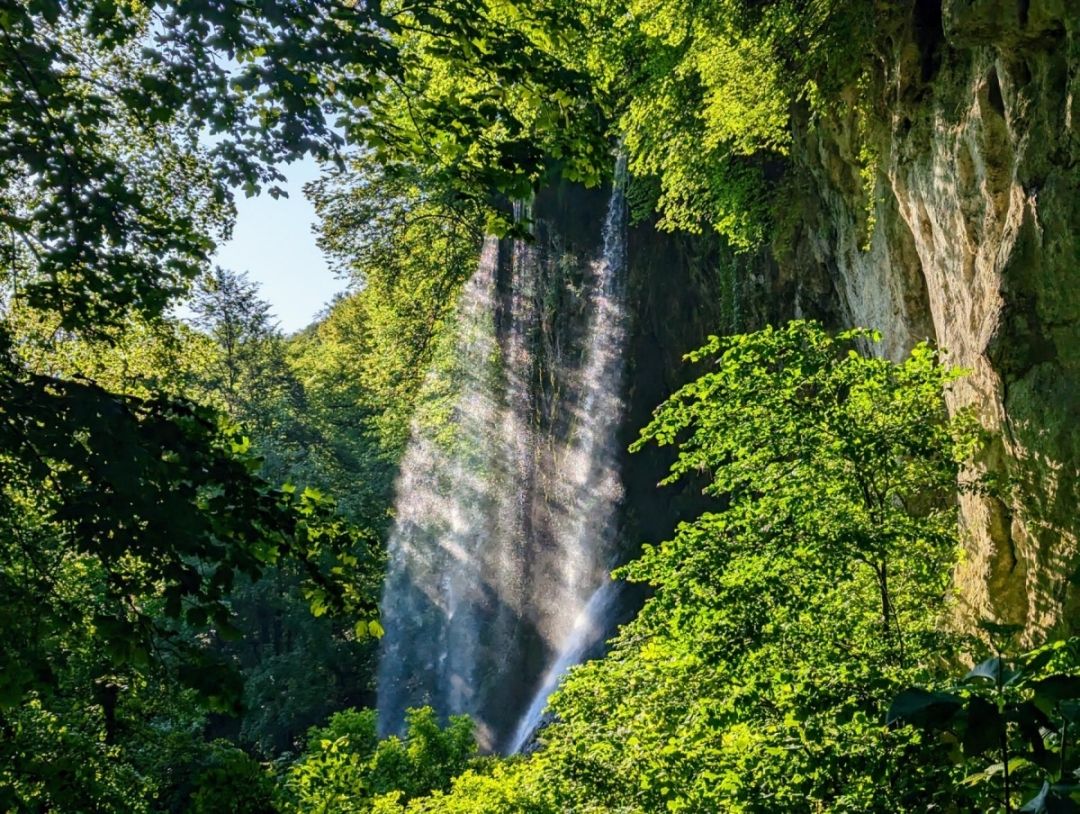 Jankovac