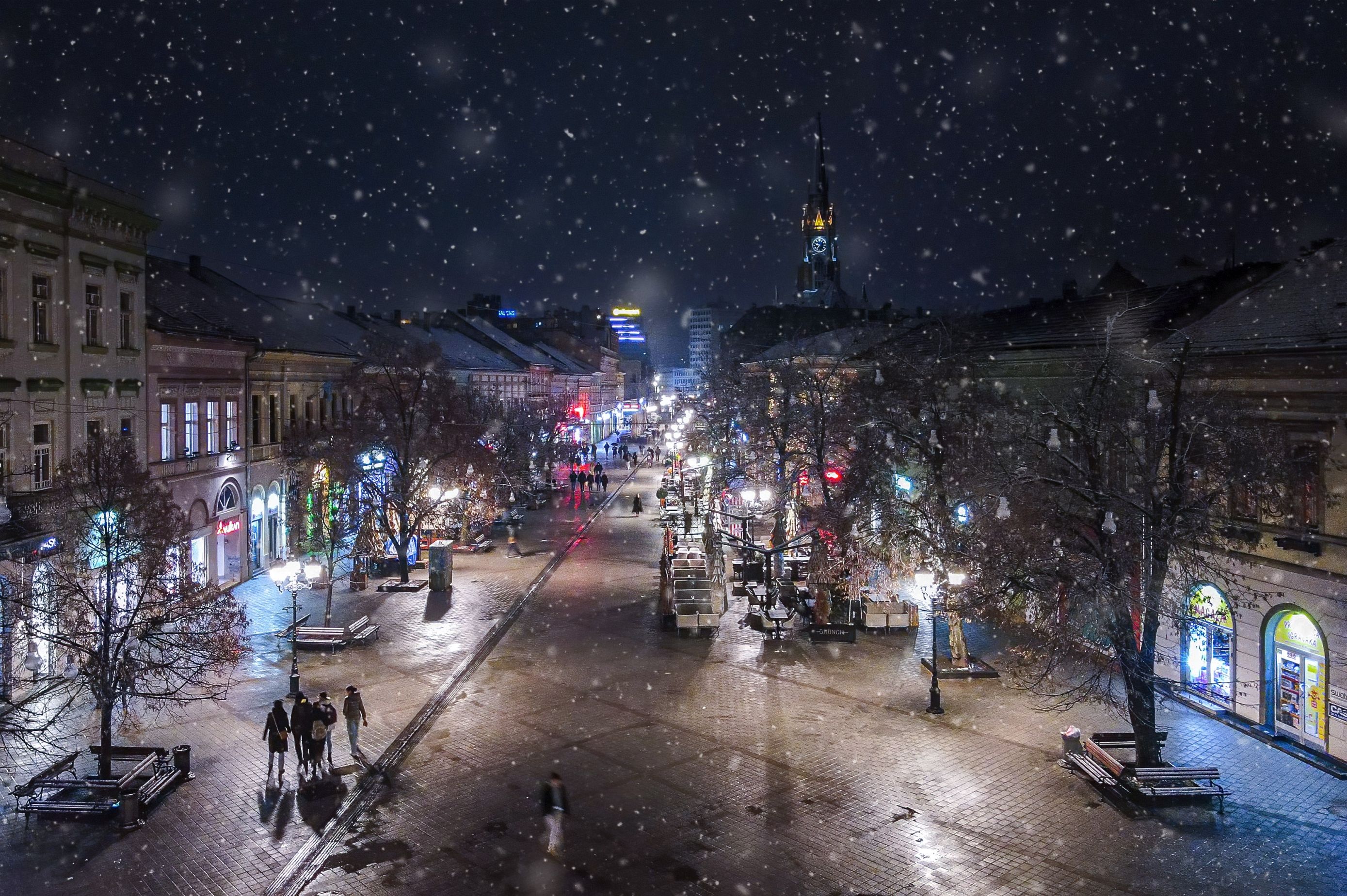 Novi-Sad-advent_Aleksandar-Milutinovic