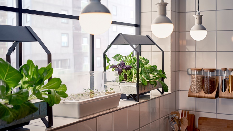 IKEA vam pomaže napraviti vrt u vlastitom domu