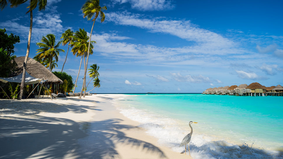 Journal putovanja: Mauricijus, Maldivi i Sejšeli