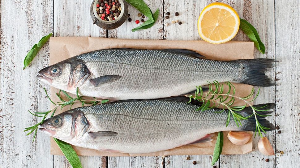 Mediteranski okusi po treći put u Šibeniku