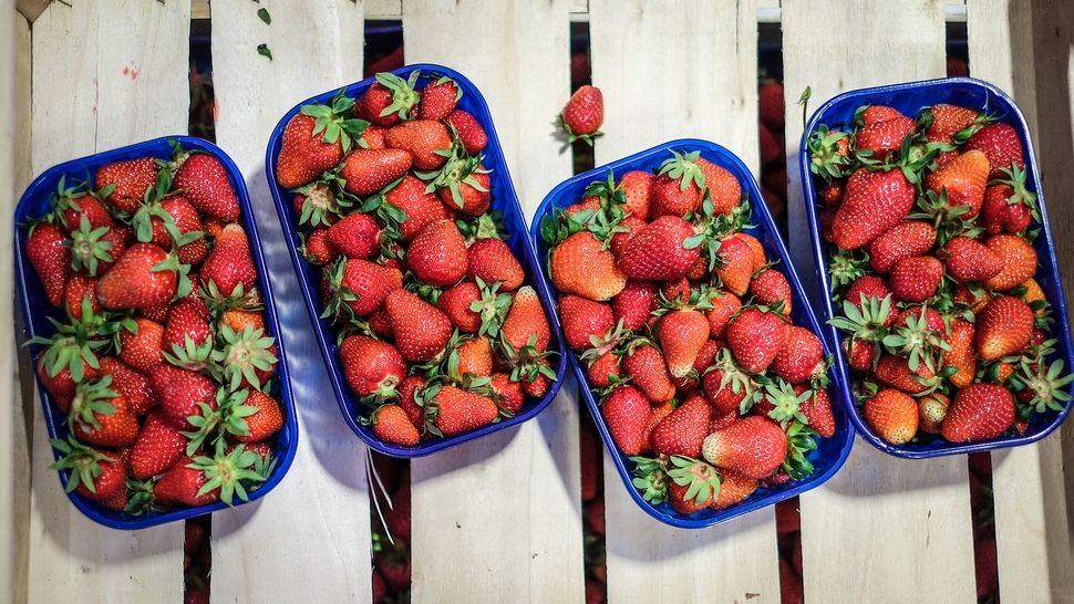 Ovaj vikend je Mali plac rezerviran za djecu