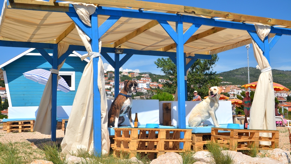 Crikvenica je dobila prvi beach bar za pse