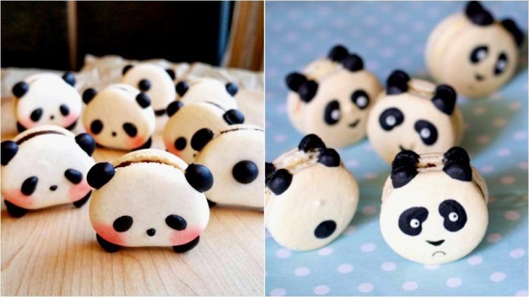 panda slider