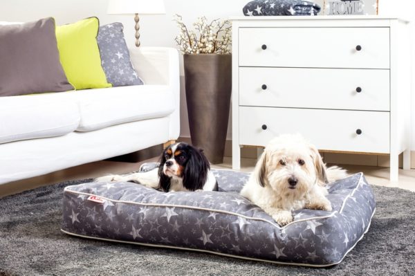 Preslatka proljetna kolekcija jastuka za pse