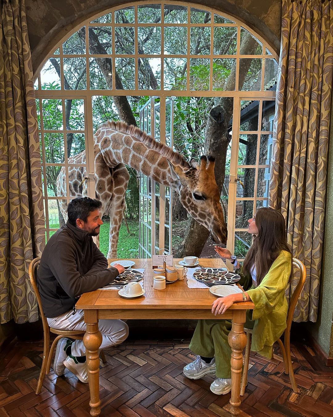 Hotel u kojem žirafe dolaze na doručak