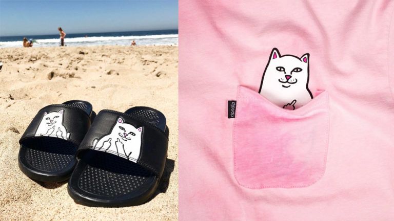 RIPNDIP