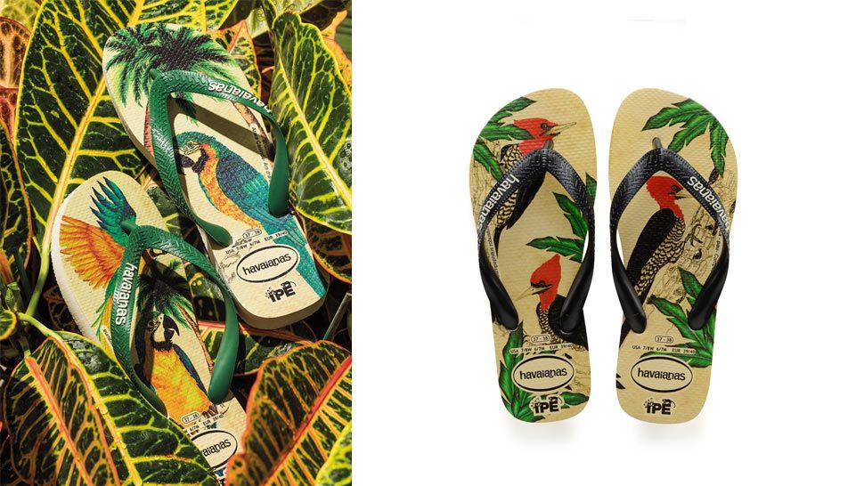 Havaianas IPÊ kolekcija japanki za očuvanje rijetkih brazilskih vrsta